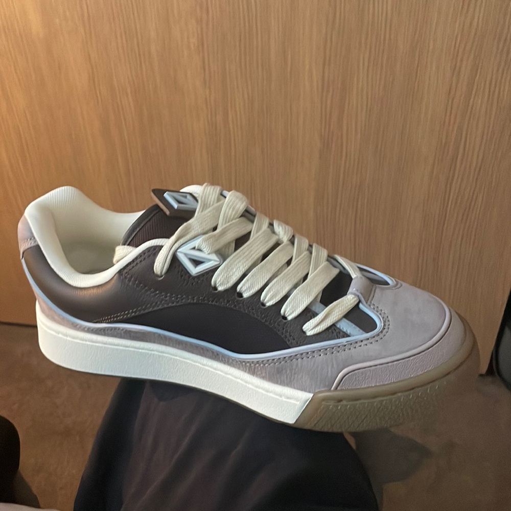 Dior x Cactus Jack (Travis Scott label) collab sneaker.